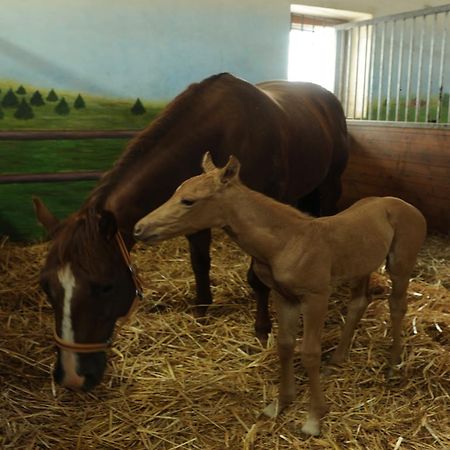 Ranc Milovice Otel Milovice  Dış mekan fotoğraf